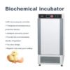 Biochemical SP80BE incubator+GO09 - Image 4