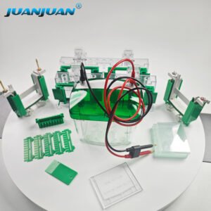 Vertical electrophoresis tank