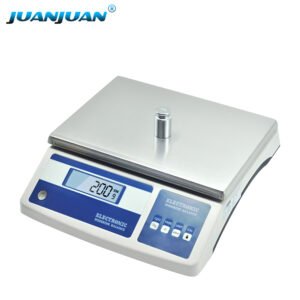 Precision electronic scale